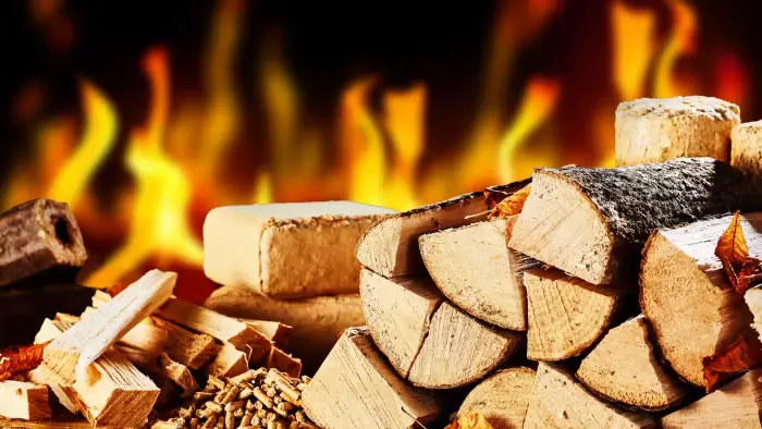 6 Must-follow Firewood Safety Tips for Beginners