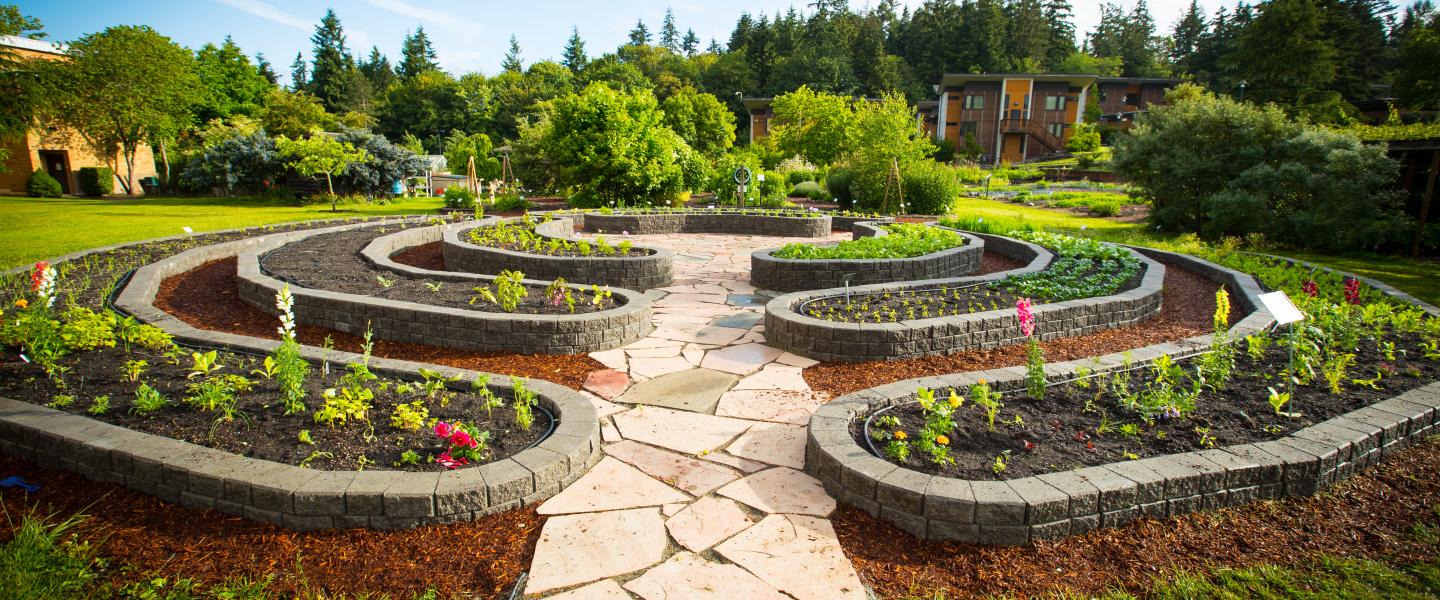 landscaping maintenance Carmel IN