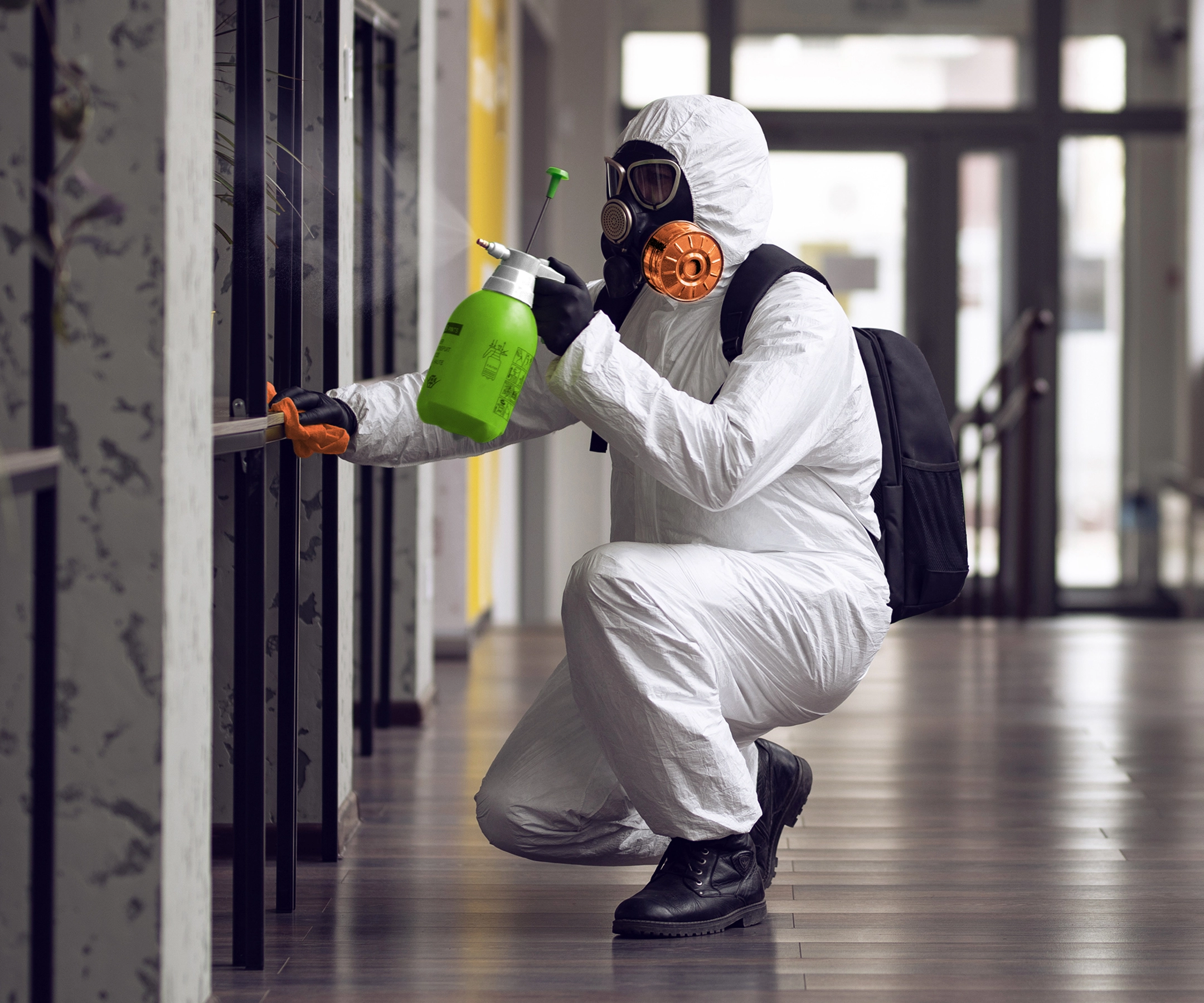 mold remediation Houston TX